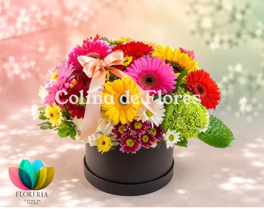 Box primaveral