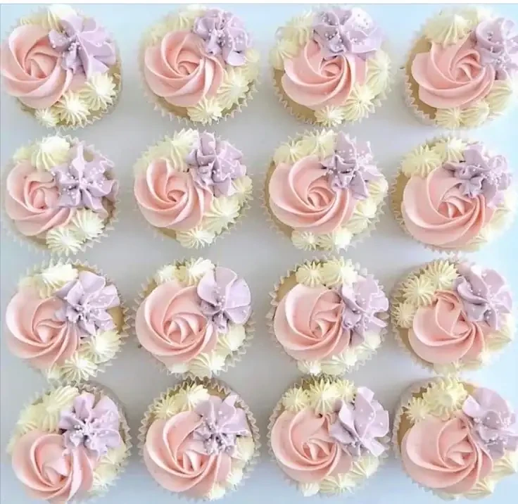 Cupcakes  2