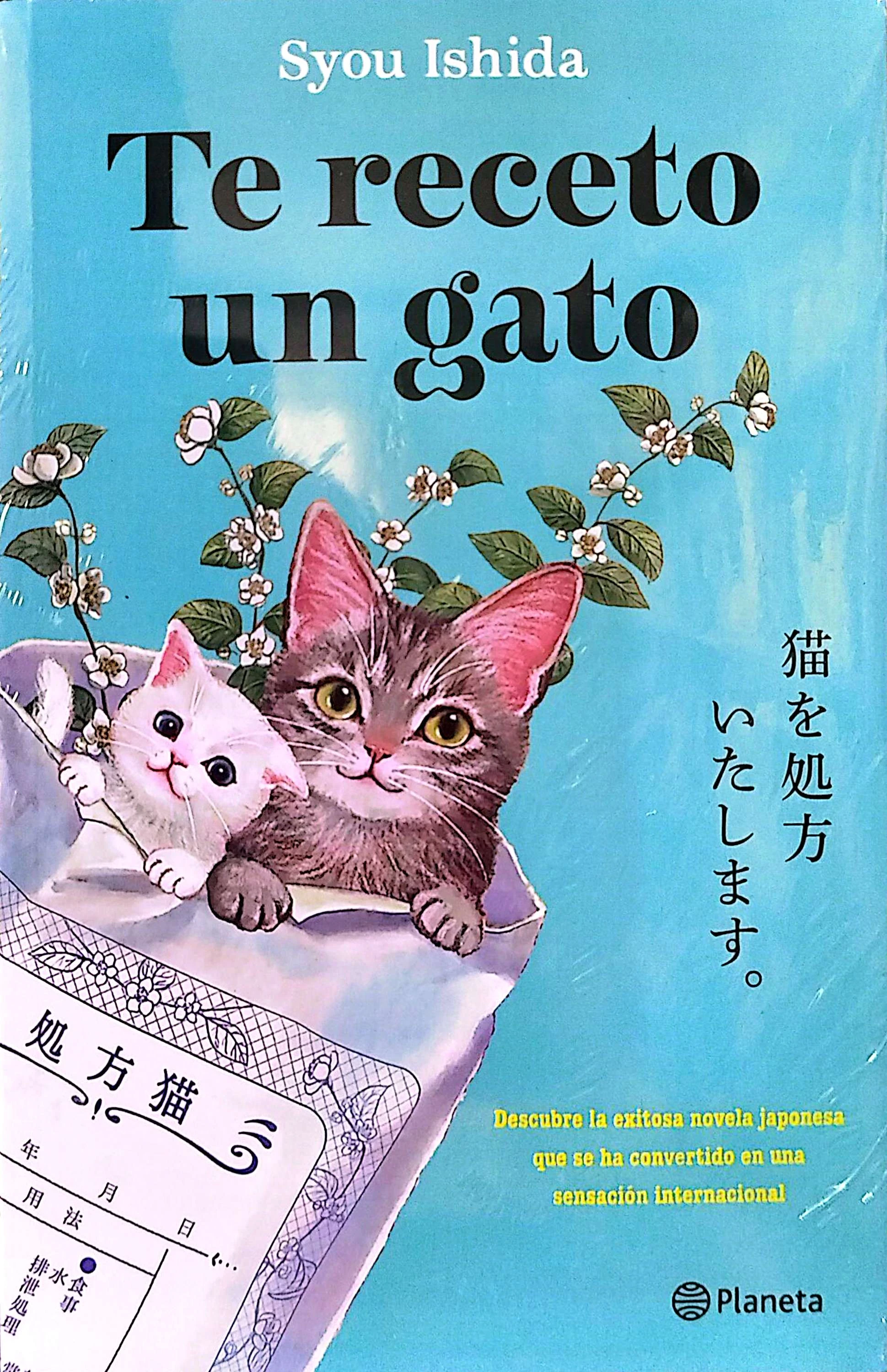 TE RECETO UN GATO 
