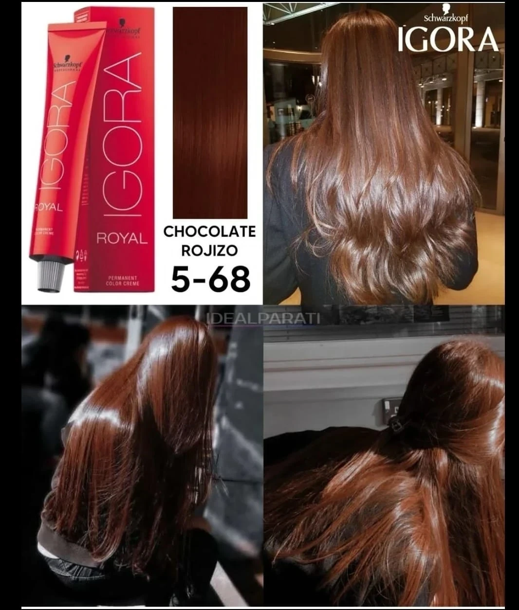 igora 5.68 tinte chocolate rojizo