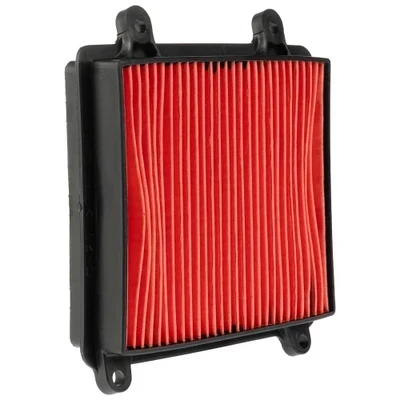 PL XR 150 L Filtro de aire GX 66671-831145