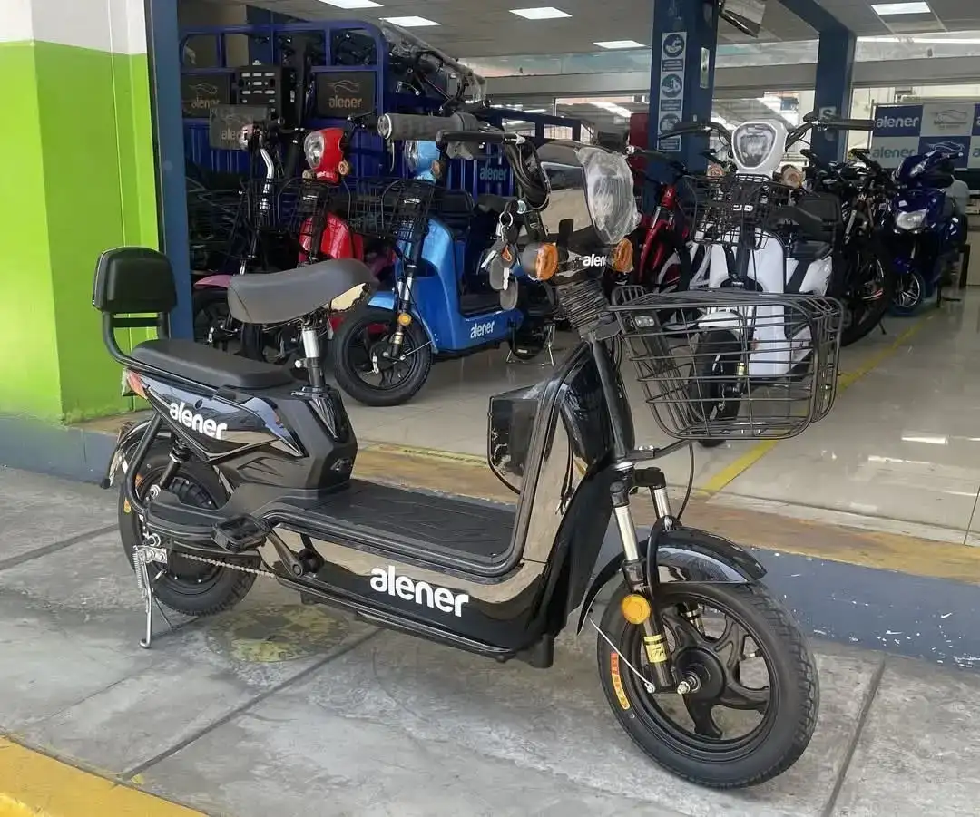 Alener 350w 48v 12A 2