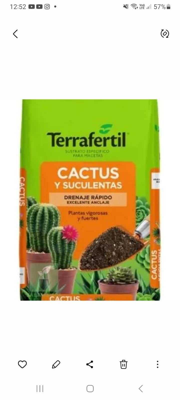 Cactus y suculentas