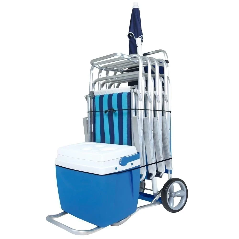 CARRO PLAYERO MOR con extensión 