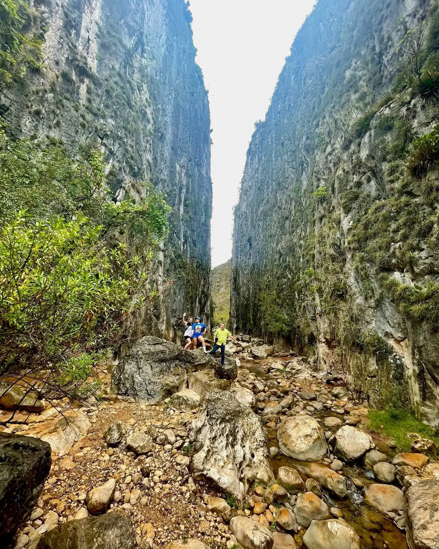 CASCADAS DE APOALA  3