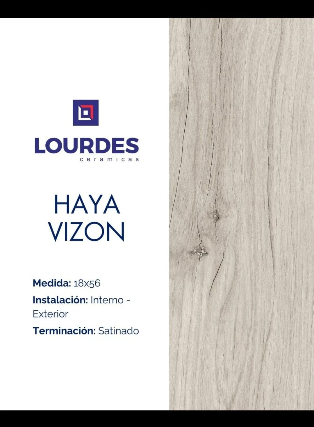 Haya vizon 2