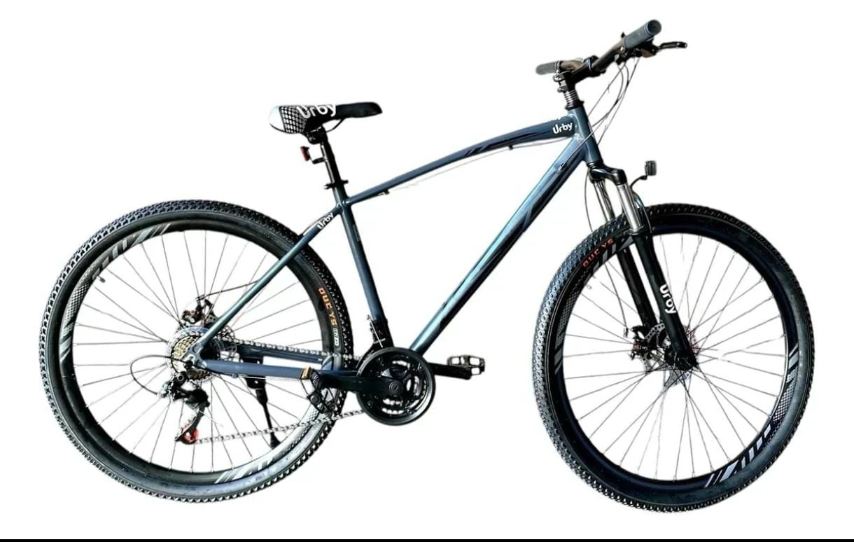 BICICLETA URBY R29 