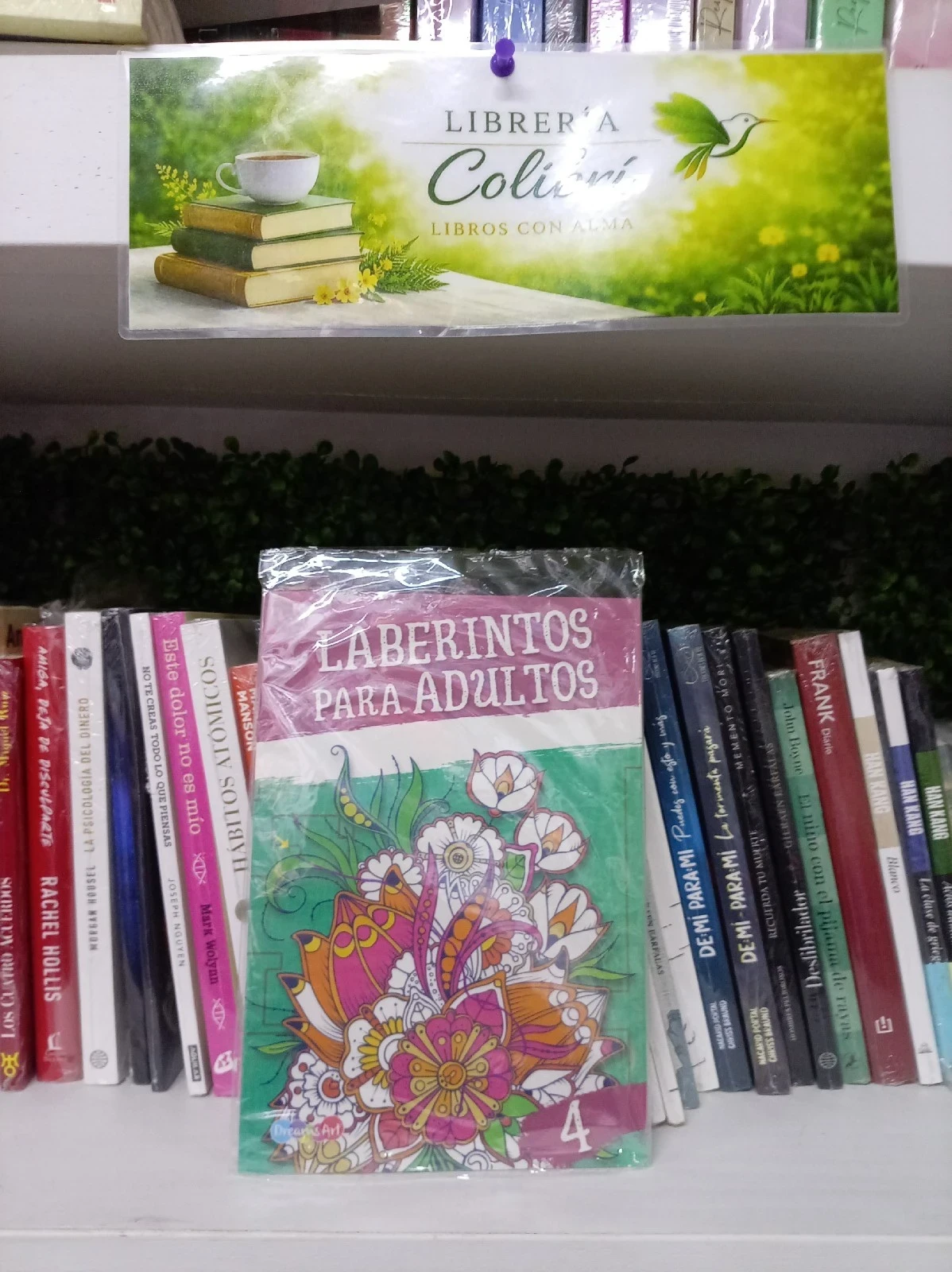 Laberintos para adultos