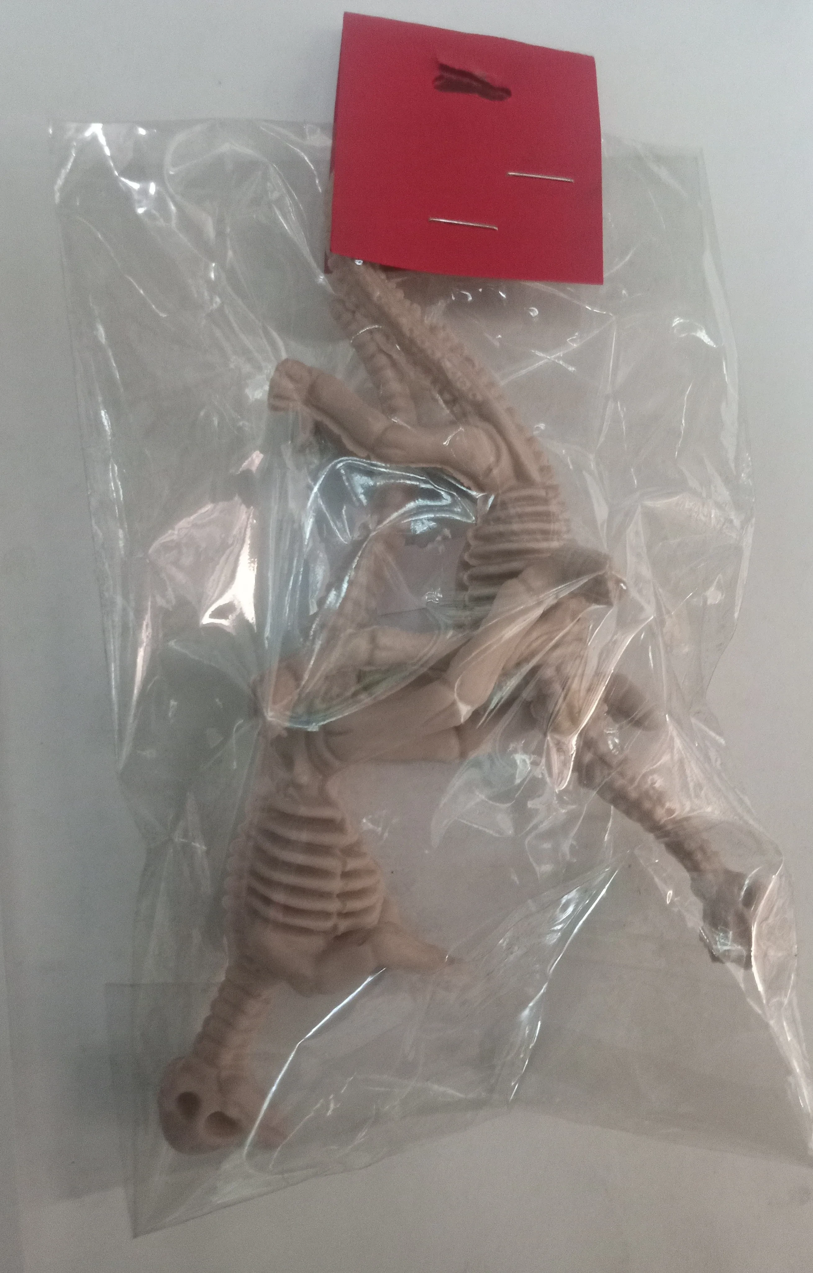 Esqueleto de dinosaurio 