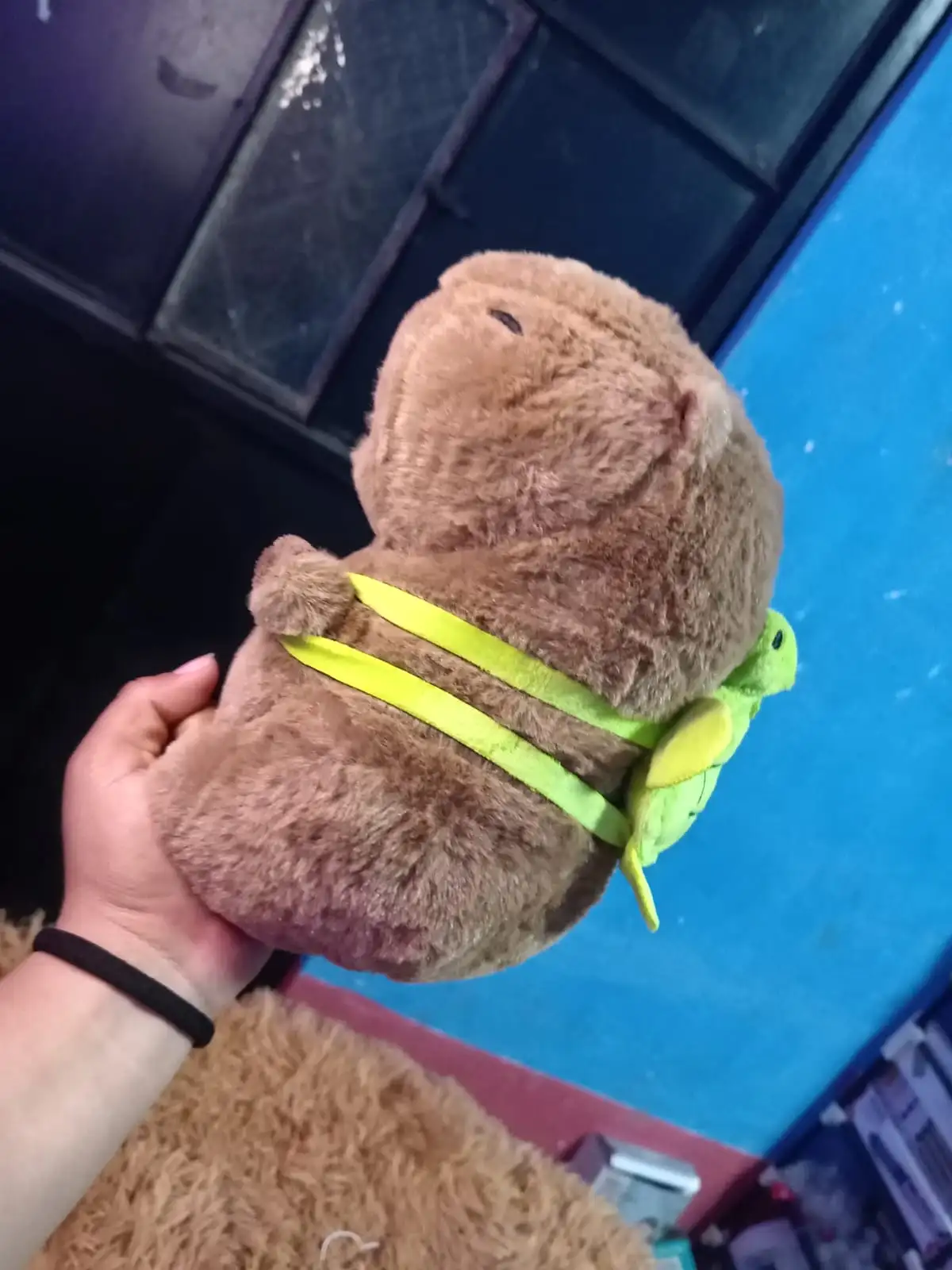 Peluche talla pequeña de capibara  2
