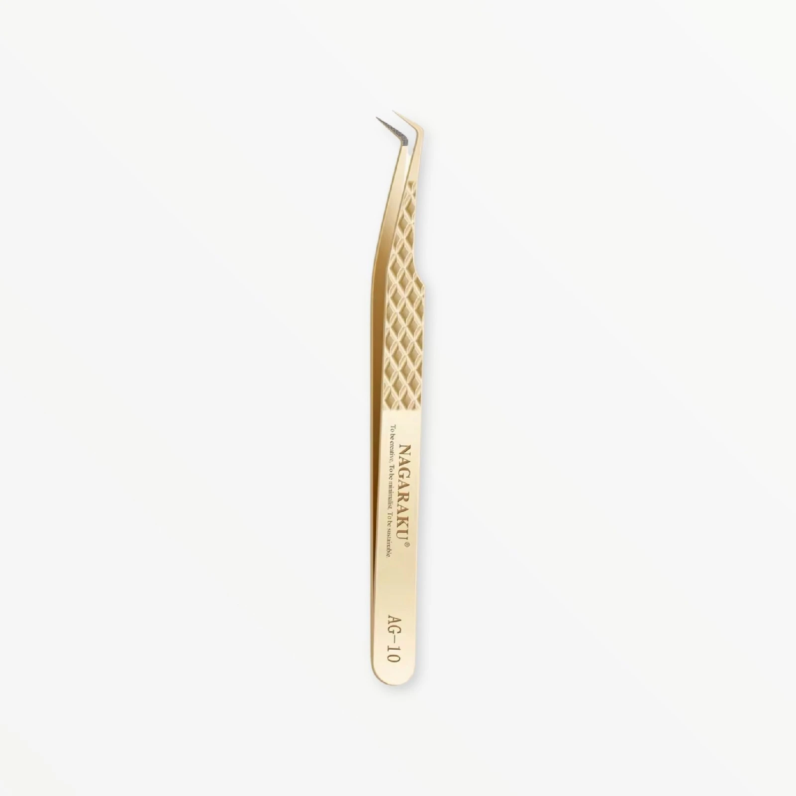 PINZA AG VOL 10 NAGARAKU 