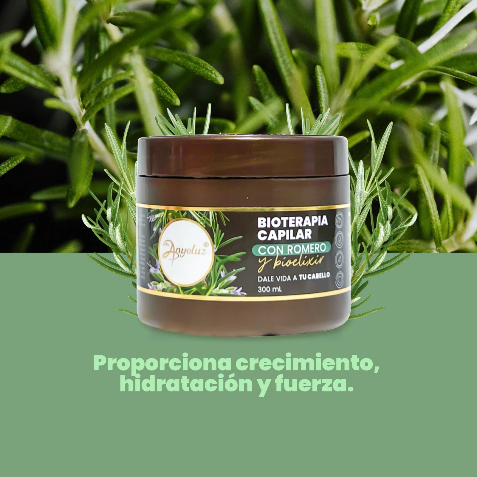 Bioterapia capilar con romero Anyeluz 
