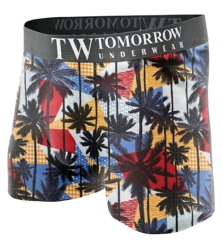 Boxer adulto masculino 5