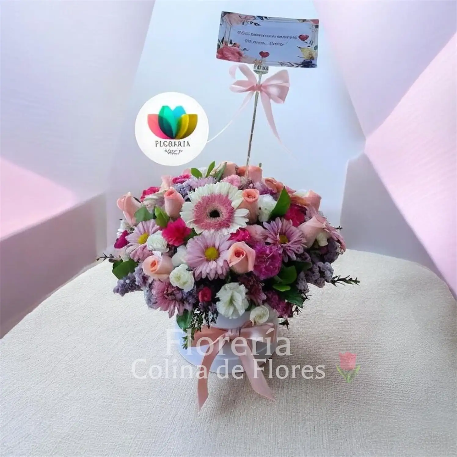 Box mix colores pasteles 