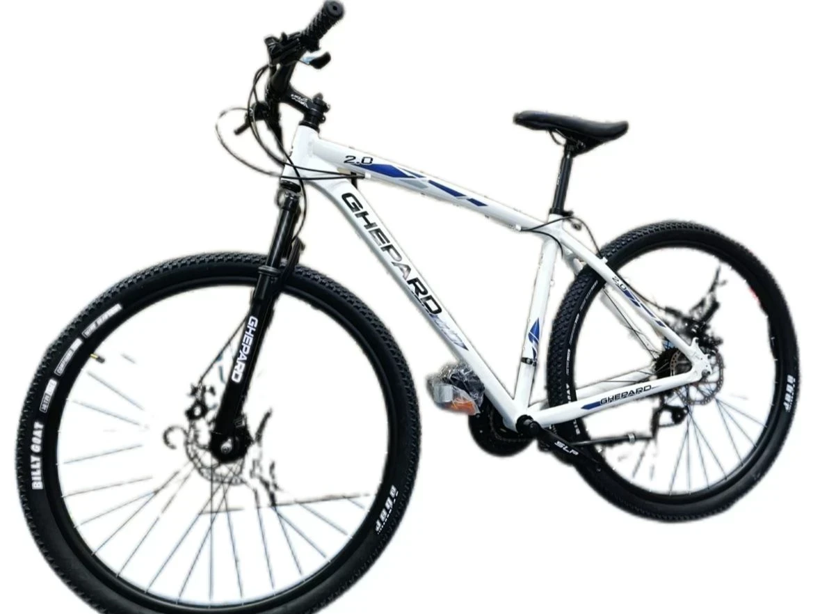 BICICLETA GHEPARD RODADO 29 