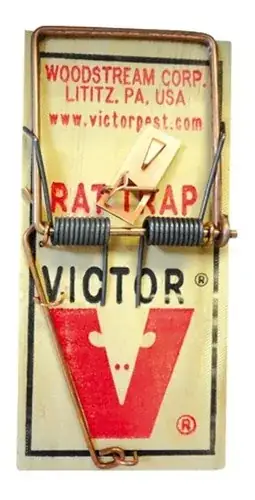 Trampa ratonera  2