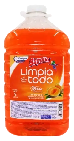 SAPOLIO 5L MELON 