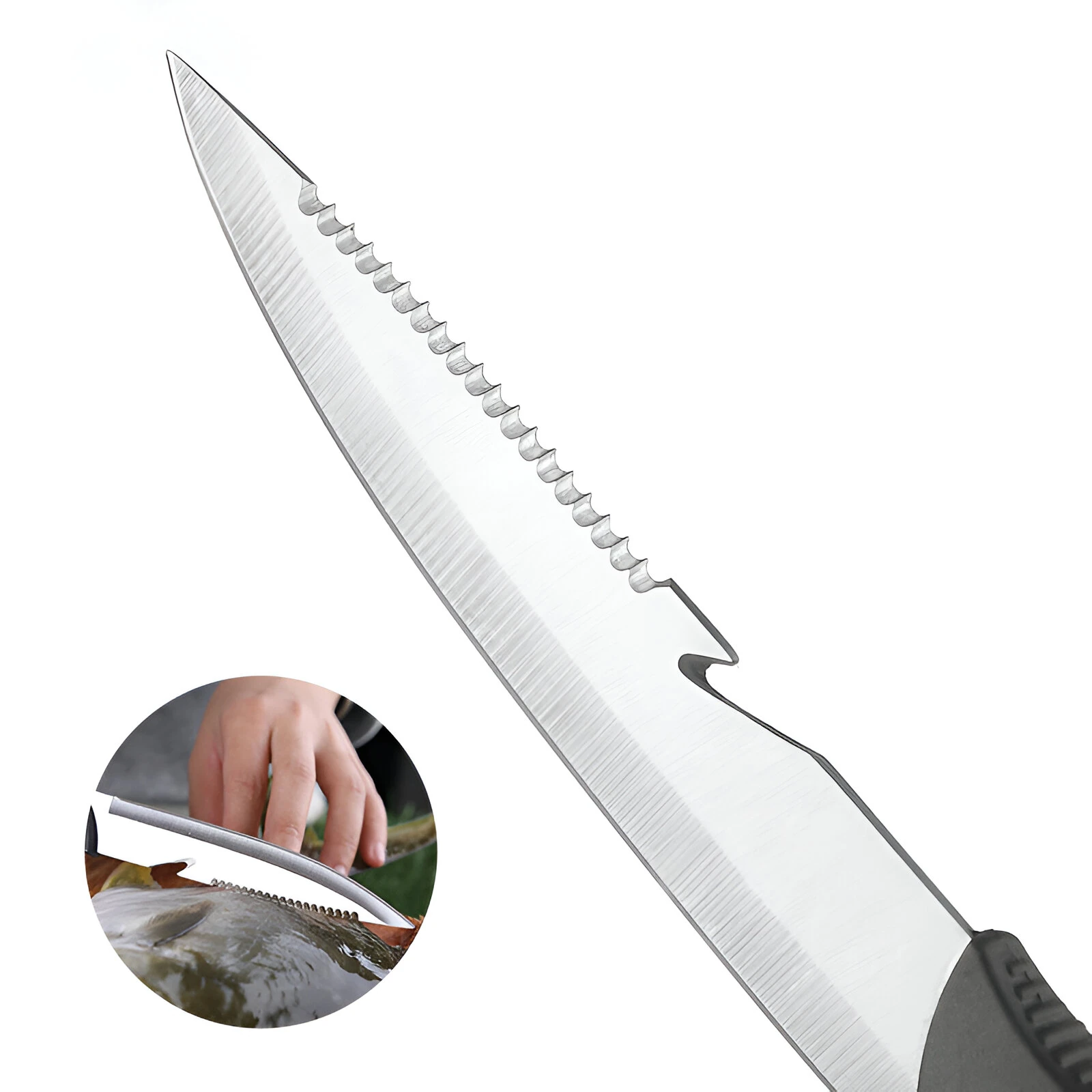 CUCHILLO PARA PESCA Y CAMPING 4