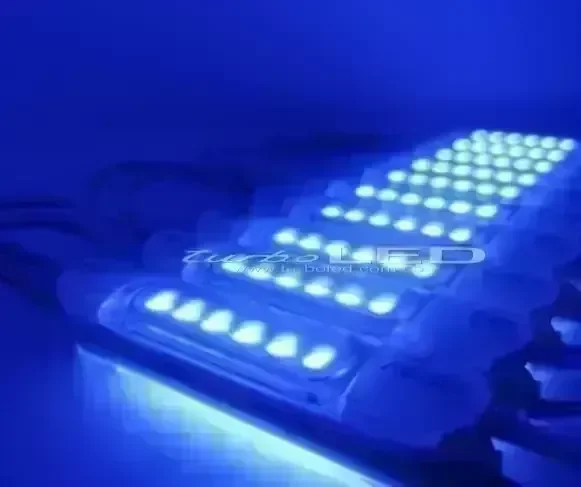 MODULO TORTUGA 12V (101002)