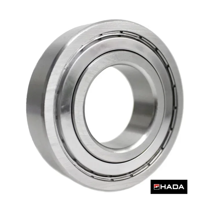 RULEMAN 6004 ZZ [HYU] -17712