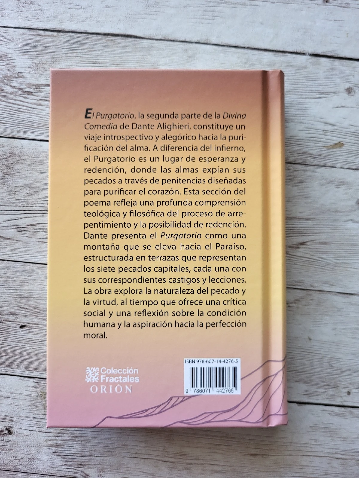 Divina Comedia Purgatorio / Dante Aliguieri / Clasicos 2