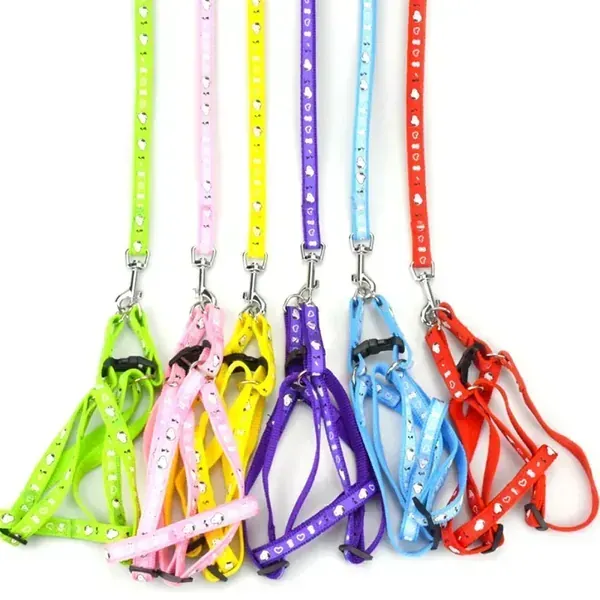 Collares,correas importados,pretales y mas