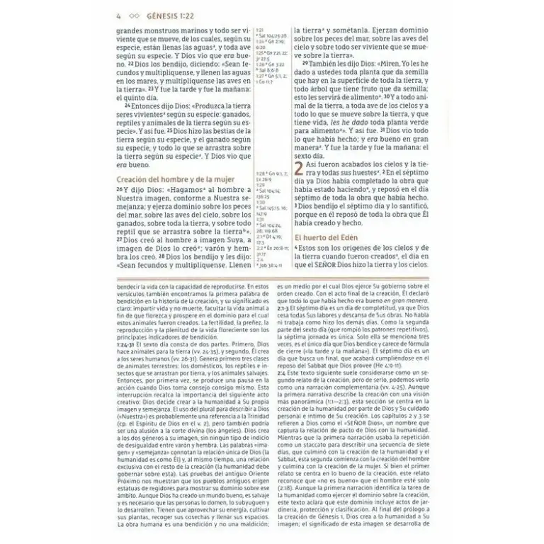 Biblia de Estudio Gracia y Verdad - Tapa dura azul 3