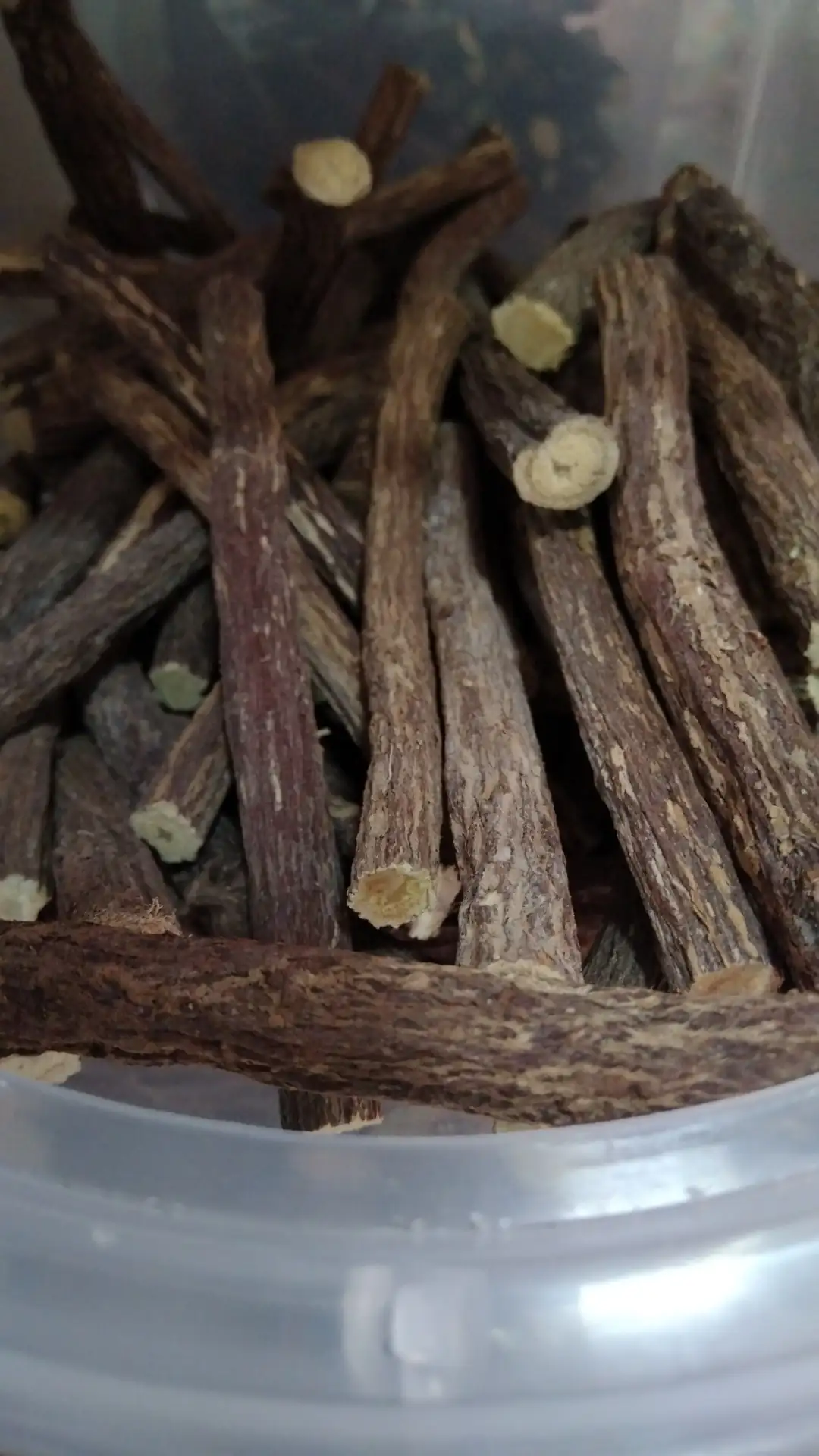 Regalencia natural bío en ramas 