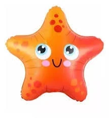 ESTRELLA DE MAR 60CM 
