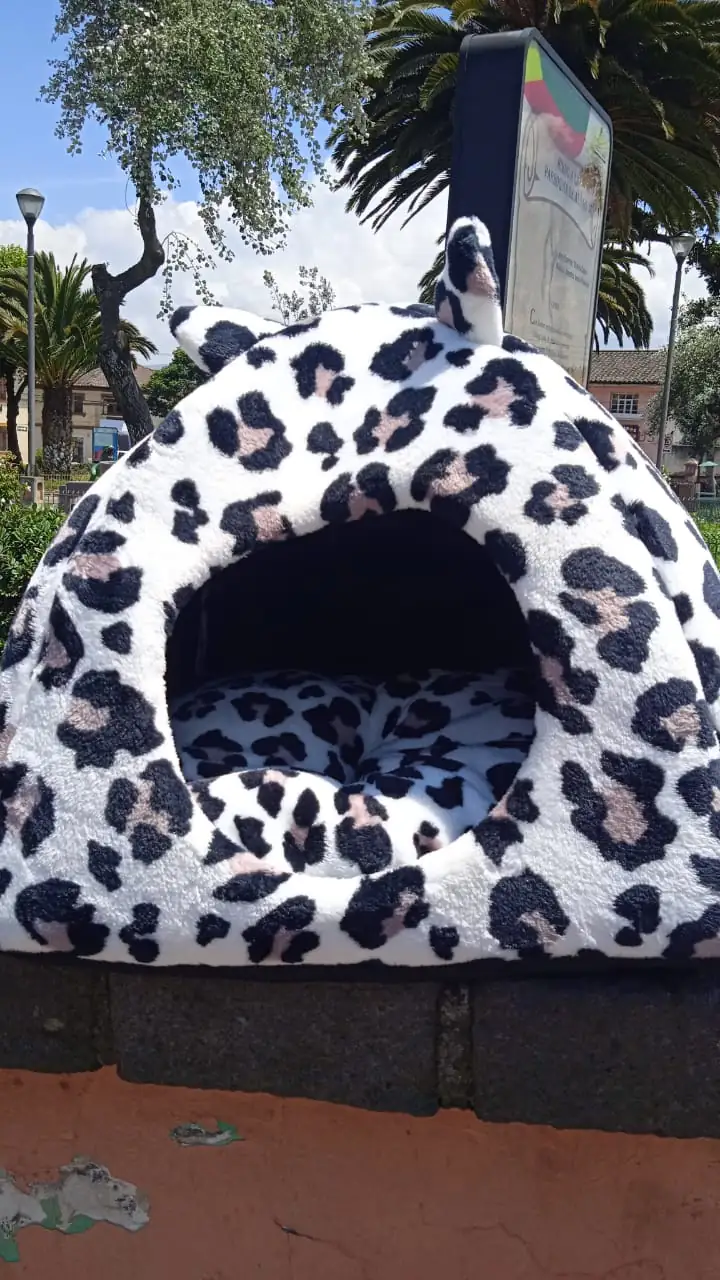 CAMA IGLÚ (TIPO CASA)