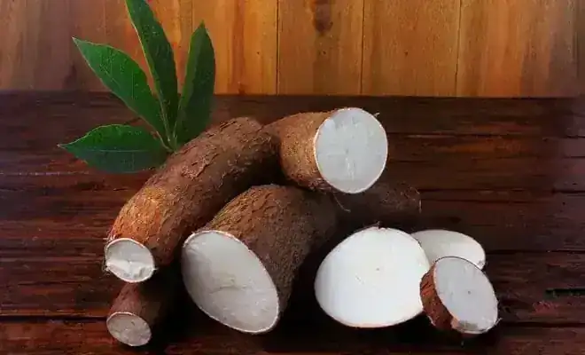 YUCA GRANDE