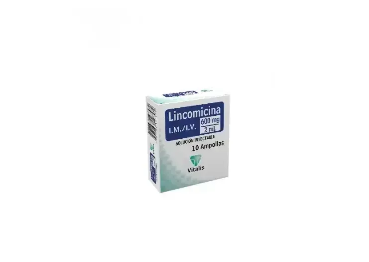 LINCOMICINA 600 MG X 10 AMP VITALIS