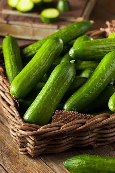 ZUCHINI