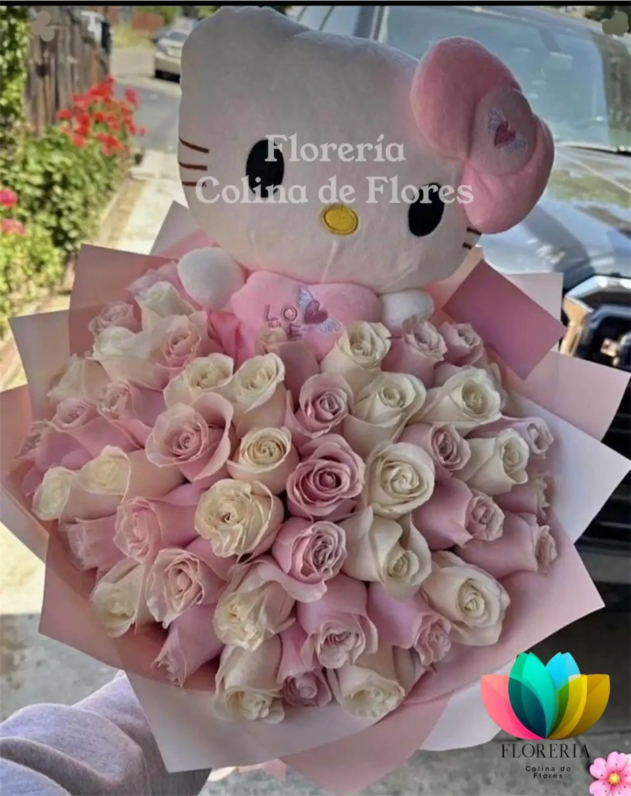 Buchon 50 rosas 