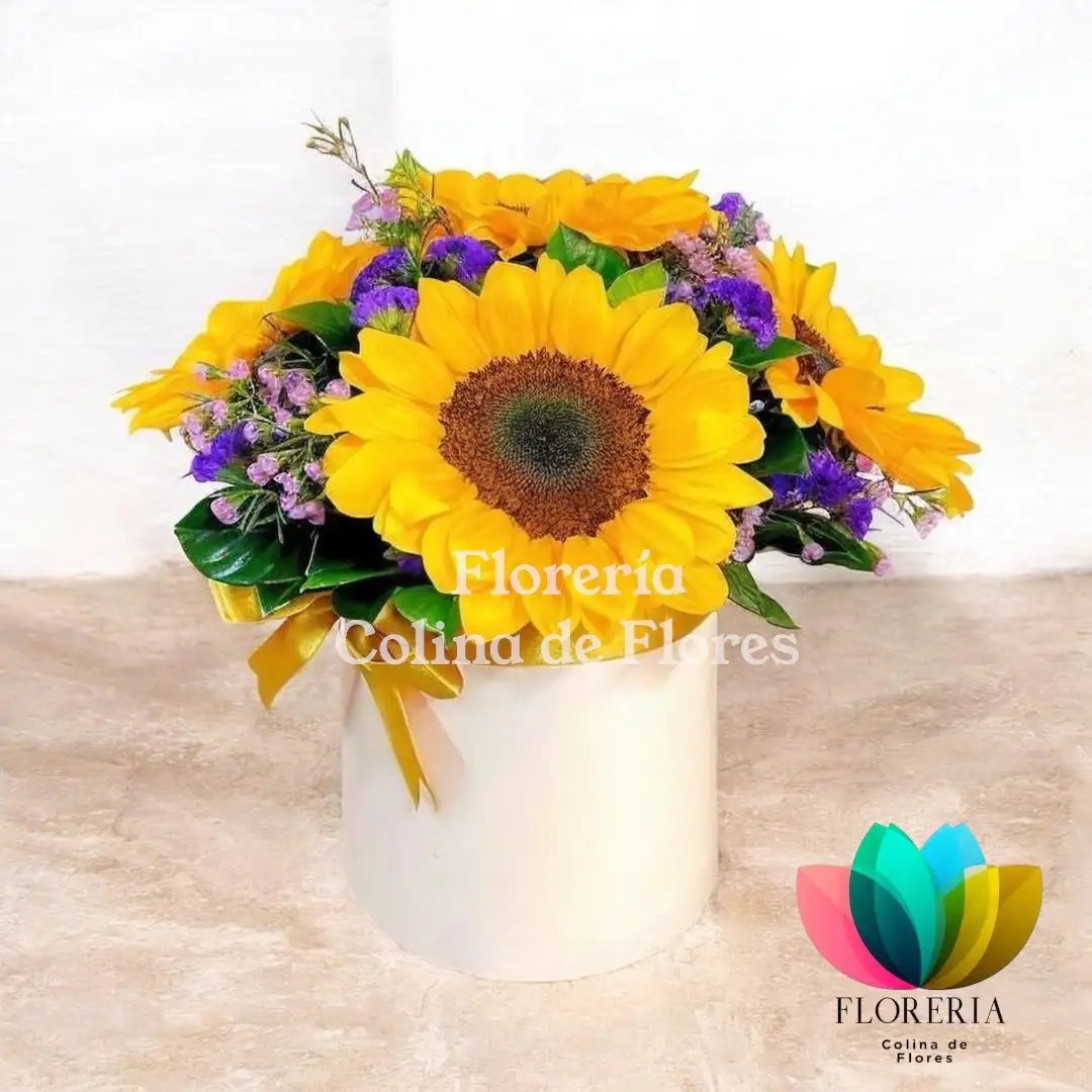 Box girasoles