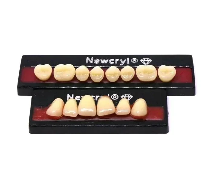 DIENTES DE RESINA ACRILICA NEWCRYL 2