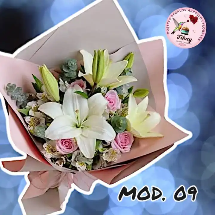 Mod. 09