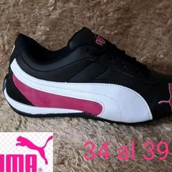 Puma 