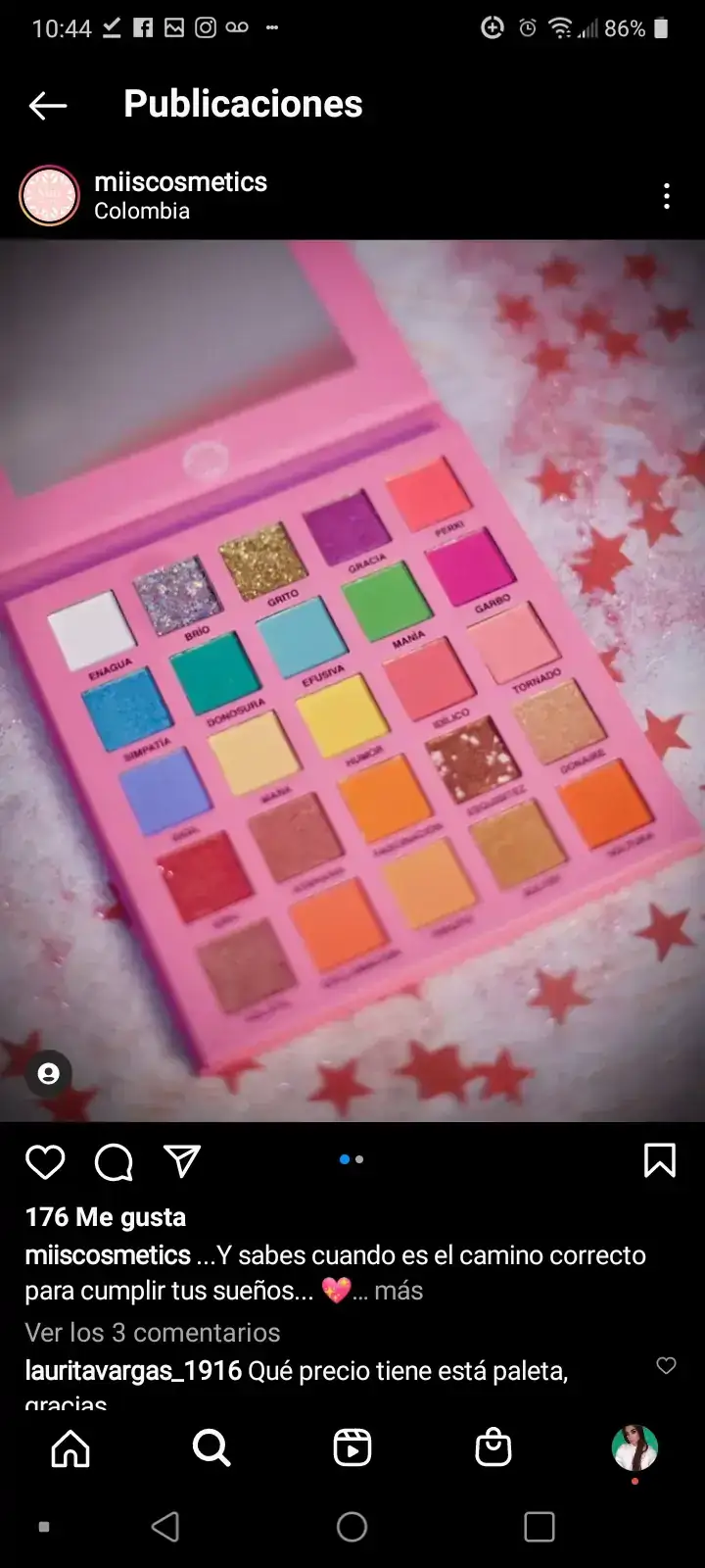 Paleta Divertida 2