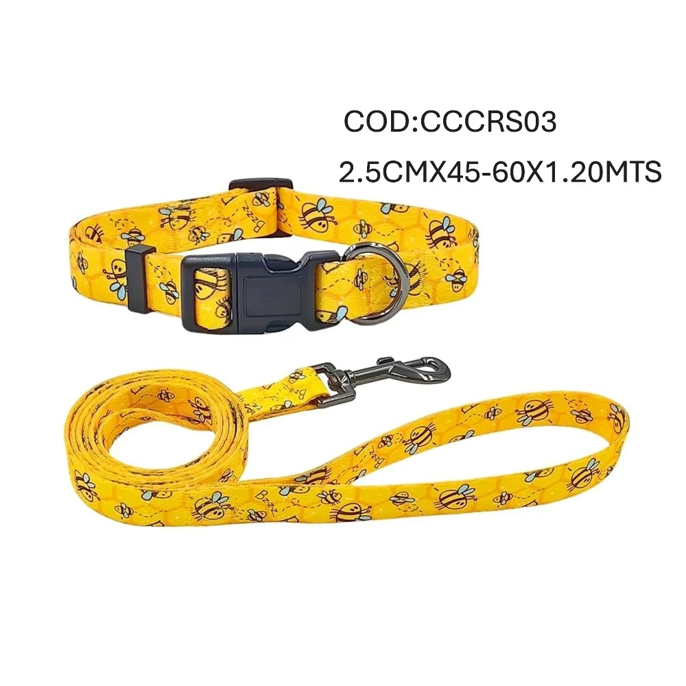 CONJUNTO T3 COLLAR REG+CORREA