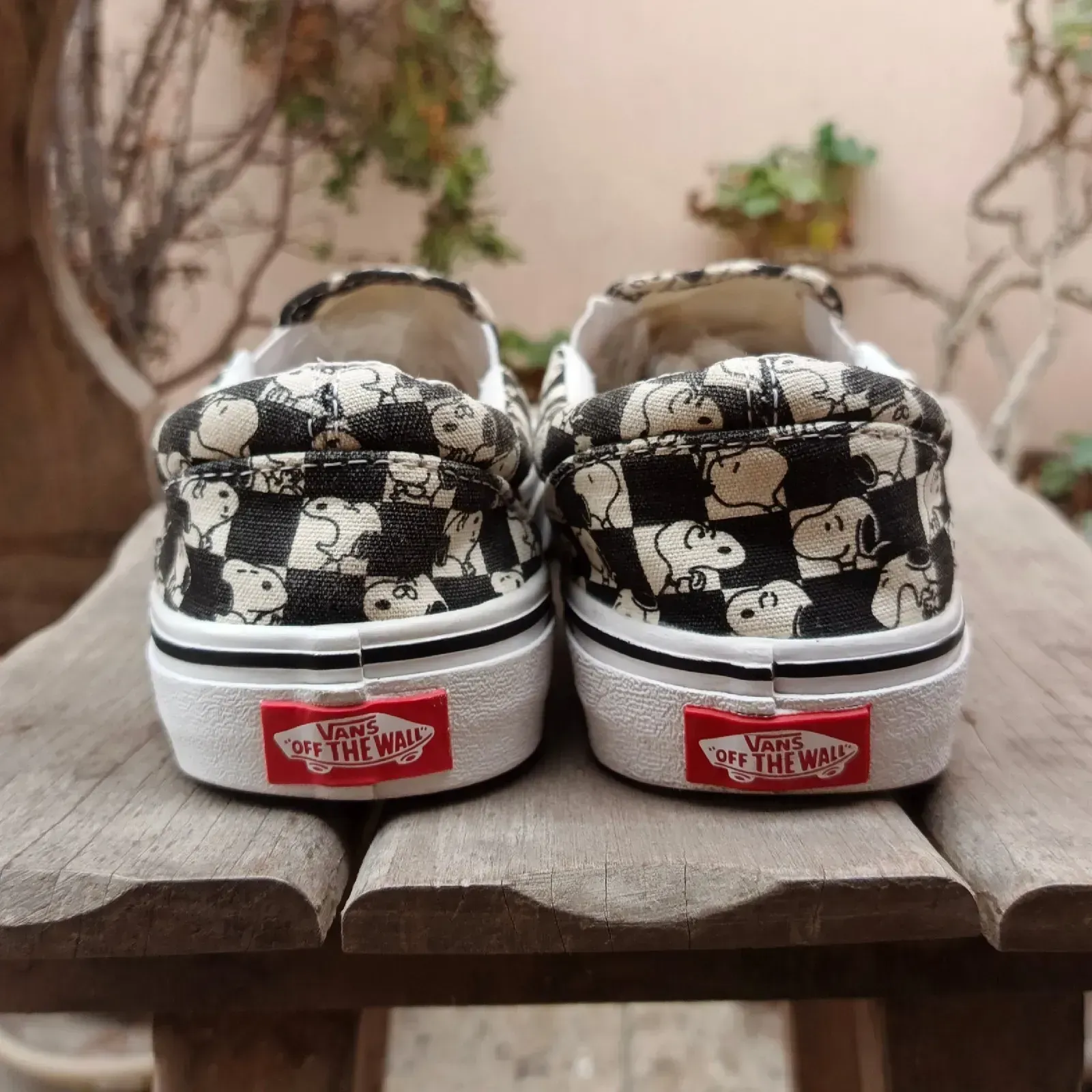Vans 3
