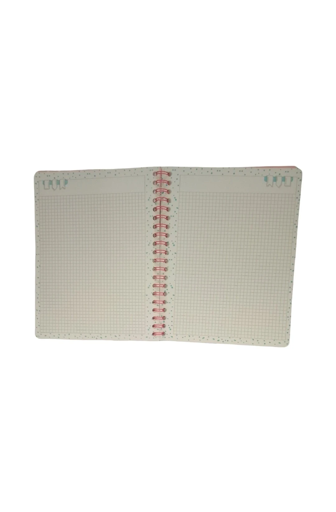 Cuaderno profesional  incolors c5 2