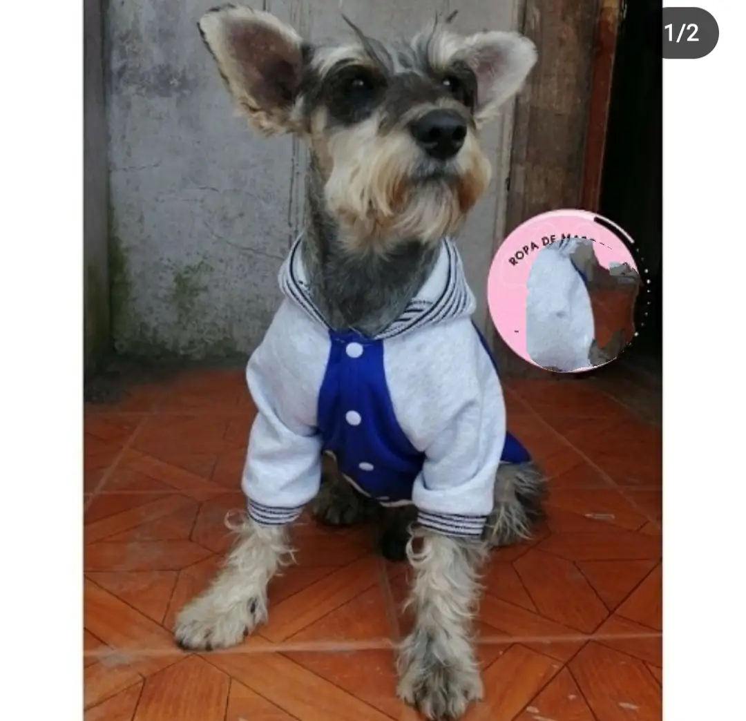 CHOMPAS DEPORTIVAS