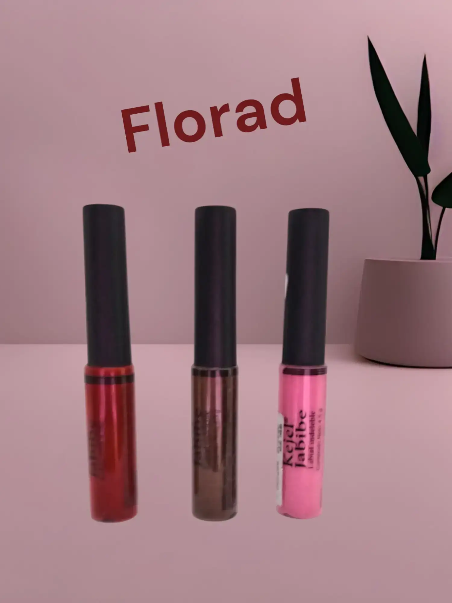 Labiales jabibe