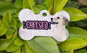 PLACA DE IDENTIFICACION PARA PERRO