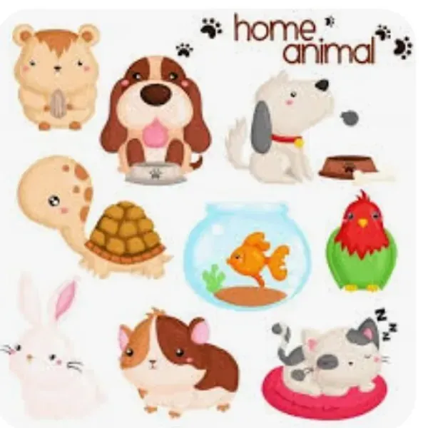 Mascotas y mas,🐶