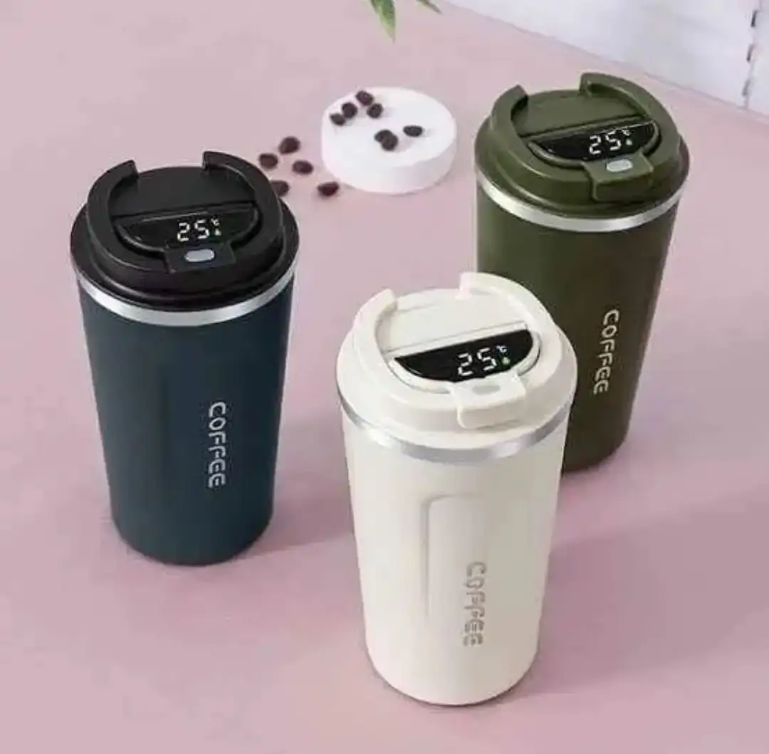 Termo touch 2