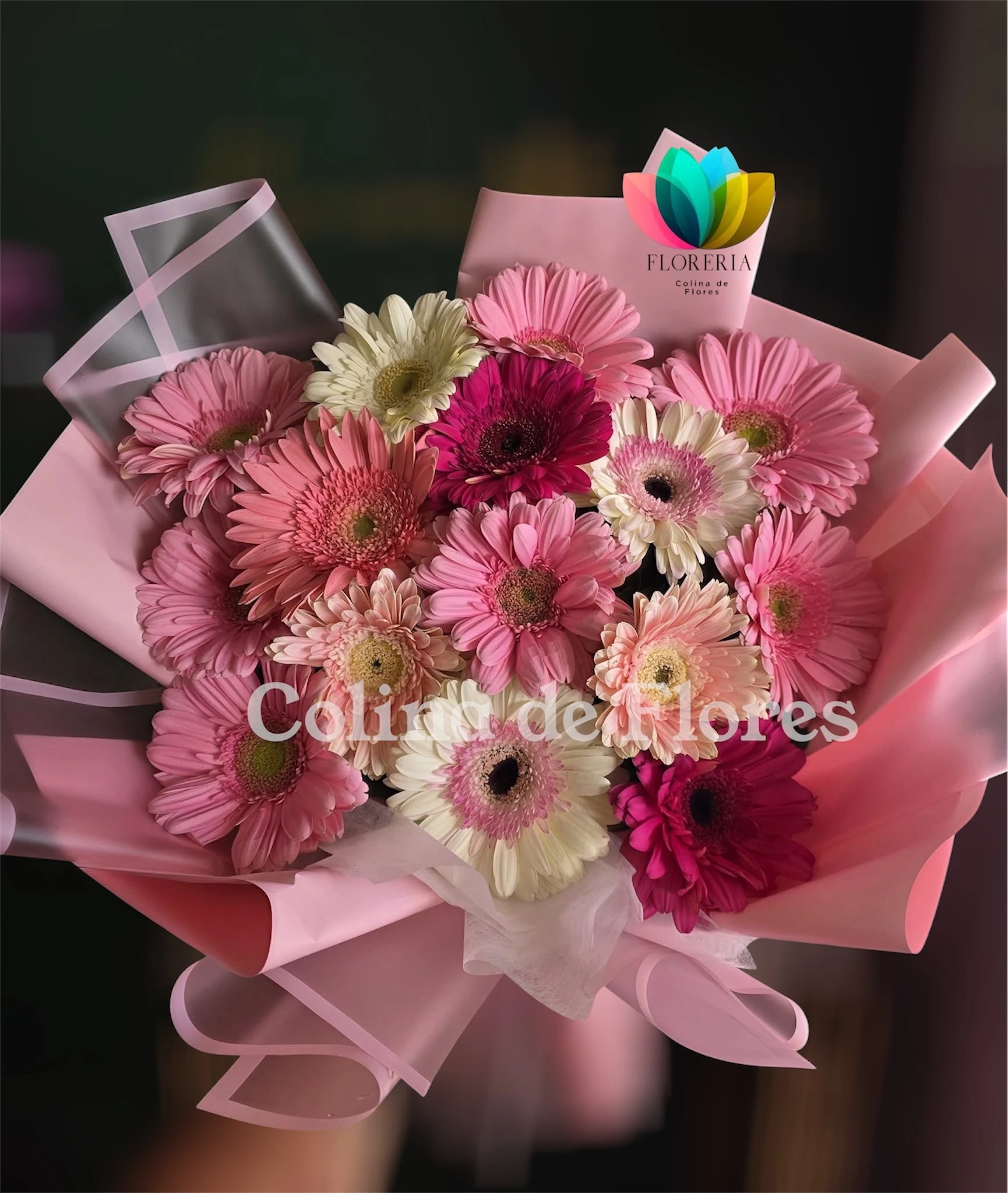 Gerberas 