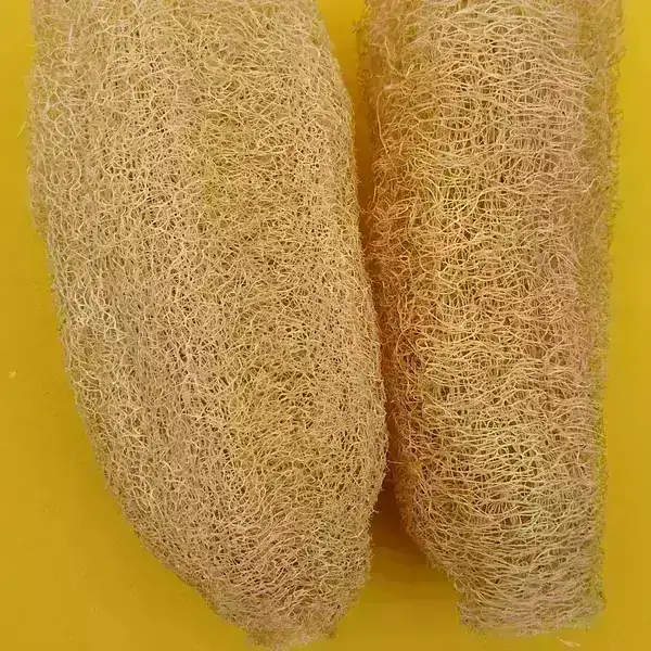 Esponja Vegetal (consultar stock) 2
