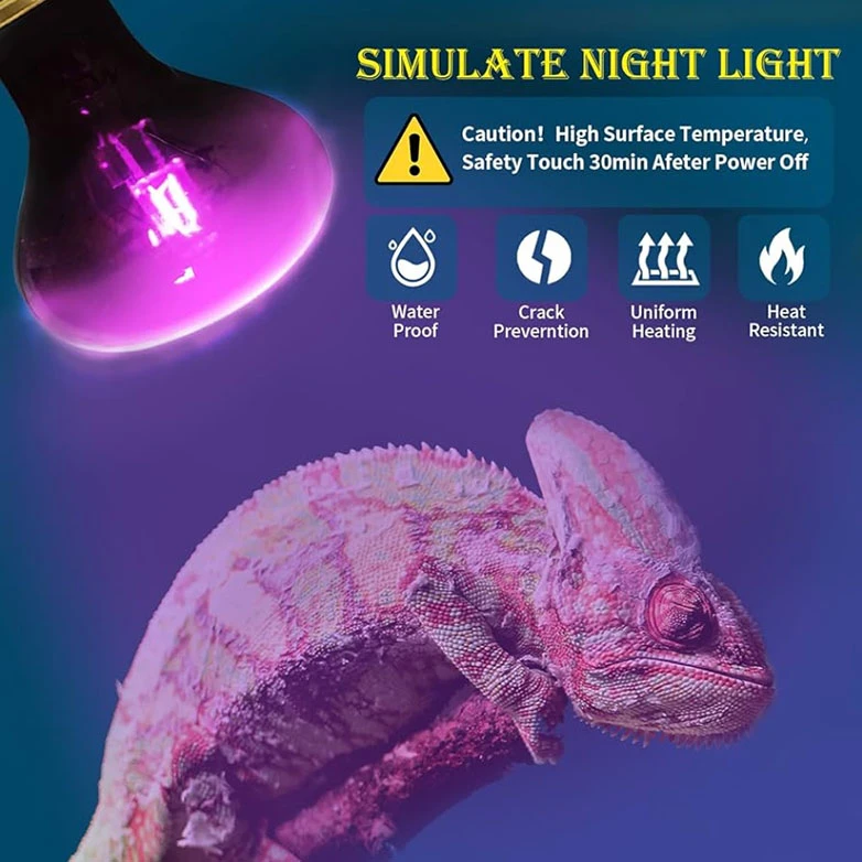 Foco Luz de Noche 50w para Reptiles Exoticos Nd-07-50w 3